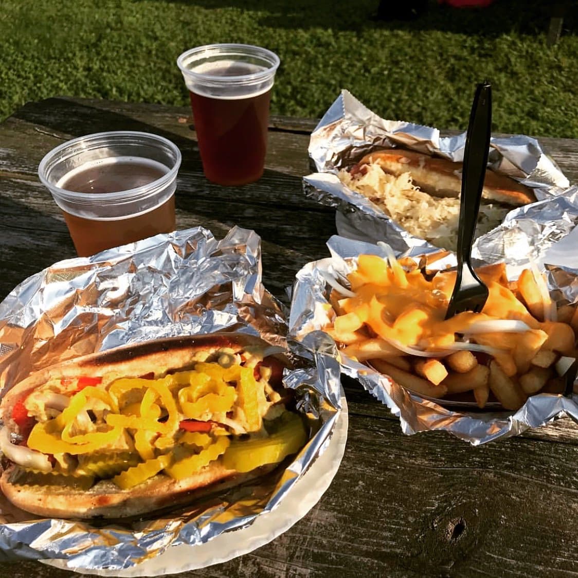Trolley Dogs hot dog and fries combo